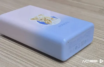 罗马仕现状：剩5000万库存，员工抽屉里连A4纸都被收走