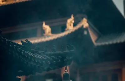 从佛门净地到资本江湖，灭佛运动与千年轮回