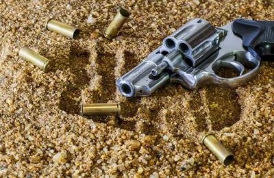 最反对禁枪的美国政客，终于死在了枪口之下