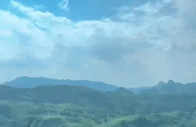 这个时代最大的红利是什么？