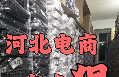 深入潜伏河北保定，我们发现了河北电商低价的秘密……