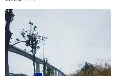 这个娃以后一定是个人才 ​​​