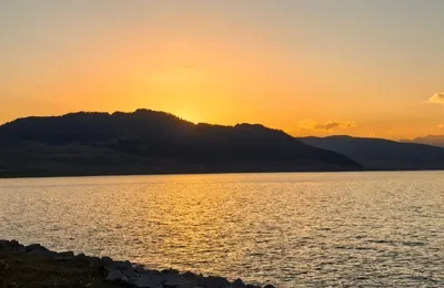 微语录精选0913：预制菜不能用现炒菜的价格卖给我，把我当冤大头