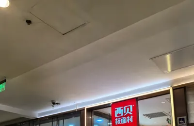 西贝“货不对板”，预制化不背锅