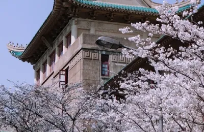 武汉大学终于出了针对图书馆猥亵事件的公告