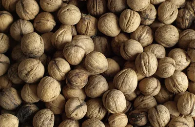 做老师做到这个份上，真的好动人