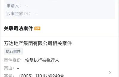 終于王健林也被限高消了