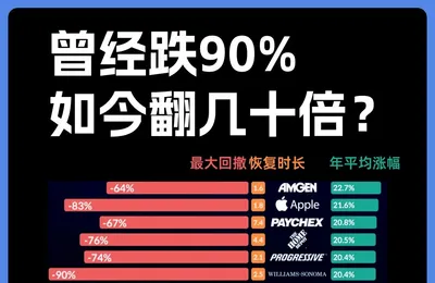 美股近40年年均漲幅最好的股票