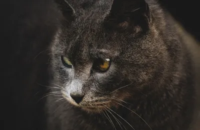 中国接近发达了，但移民政策全球最严