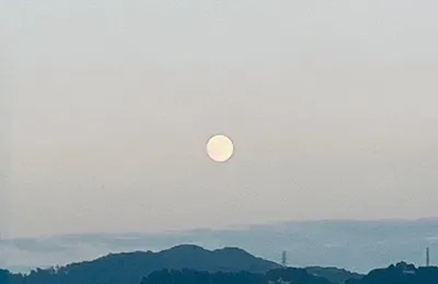 世事从来如此，没有天上掉免费月饼的好事