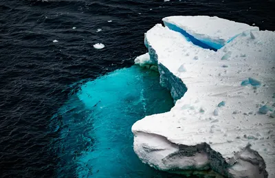 微语录精选1013：什么加密币玩家，就是个赌棍