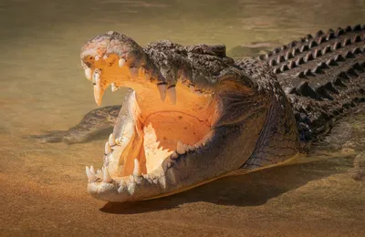 但凡贴钱我就觉得不靠谱