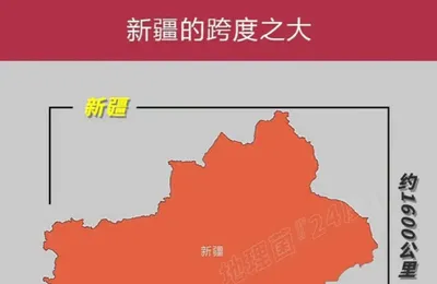 微语录精选1016：鸡排哥不考公有点浪费