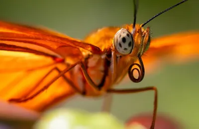 吃预制菜不怕，主要是咱得吃明白了