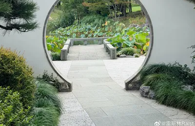 微语录精选1022：相信人类迟早完蛋就梭哈黄金