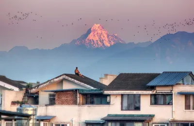 [博海拾贝1022]我们的eSIM完美避开了所有eSIM的优点