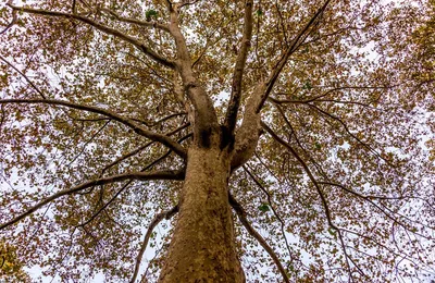 这哥们对青梅竹马挺好的，而且这么揍小四不就是因为小四撞她么