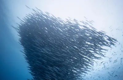 微语录精选1028：以后我换房子轻松了