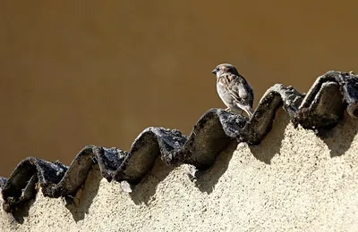 小区这种东西，是需要付出很大成本才能努力对抗折旧的