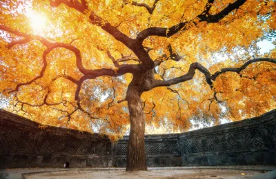 [博海拾贝1110]小盆友，你对知识的力量一无所知