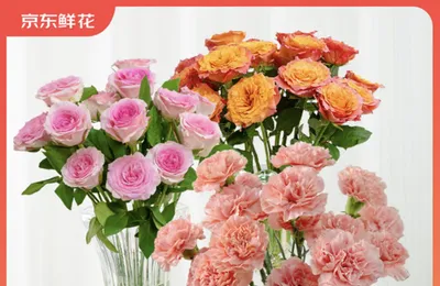 白菜！京东鲜花 玫瑰20枝+康乃馨10支 共20枝 送配草  17.9元包邮