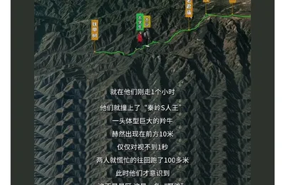 人生比电影精彩，居然还能活着回来说出你的故事