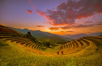 微语录精选1114：60 后体制内的人生最棒