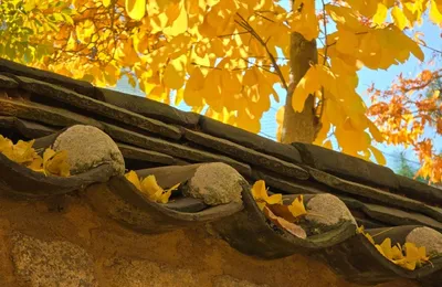 微语录精选1116：我要当一个人