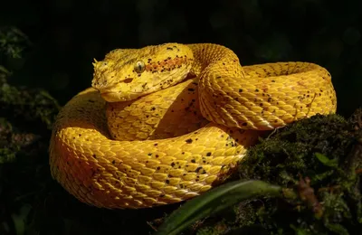 微语录精选1118：美国老百姓就没过上一天好日子