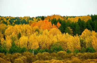 无法想象退休后的生活