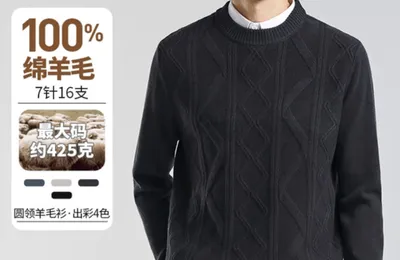 白菜！Firs 杉杉 男士100%纯羊毛圆领加厚保暖羊毛衫  新低159元包邮