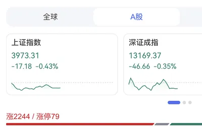 大牛市亏钱的瓜…