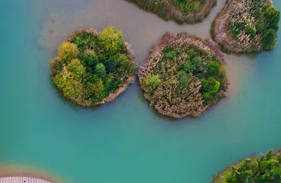 [博海拾贝1119]A股波动率高“罪魁祸首”是机构不是散户