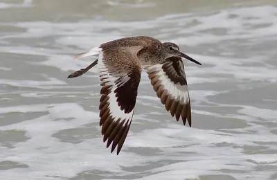 这条件看中她的会很多，她看中的会很少