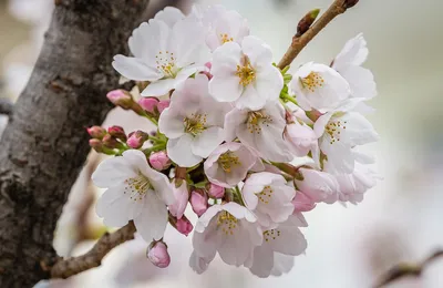 还是得自己靠谱，关系才能扶一把