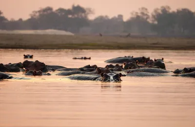 微语录精选1124：时代的弄潮儿