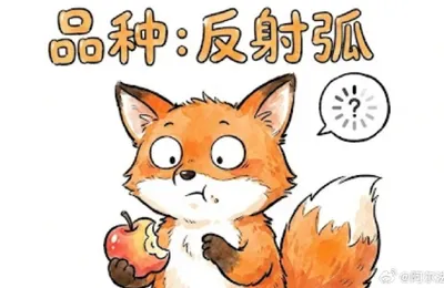 年轻的感觉是什么