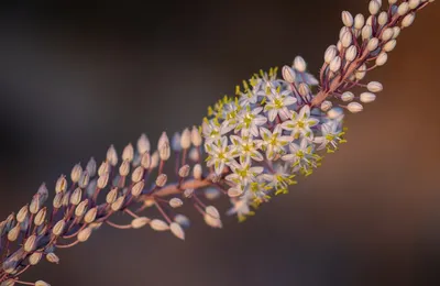 老公也失业了，还好当初没贷款买房