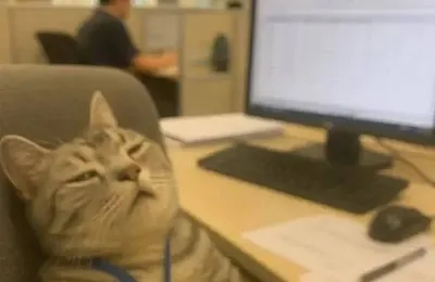 科普之所以难，是因为大部分人其实没有科学的基本概念