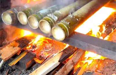 竹筒饭用的是什么竹子？砍下来不久的新鲜竹子，一半以上重量都是水分