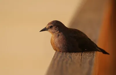 用自己的方式走出阴霾，本身就是一种胜利