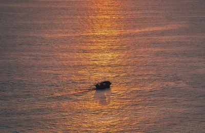 就是因为总和稀泥，打人的没代价才有恃无恐