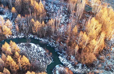 [博海拾贝1203]这棵树有点萌