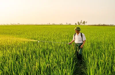 团播的商业模式，不就是广义崩老头框架吗？