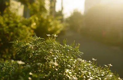 大胆预测，2026年往后十年，电商开始全面实体化进程