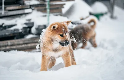 不只是数字，还是一段段被改写的人生啊