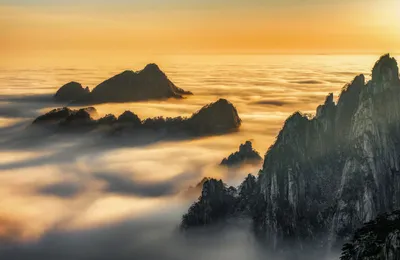 [博海拾贝1204]猫咪奴役人类实录