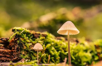 这个世界，真的永远是一个看脸的世界