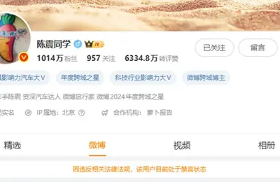 车圈网红陈震被全平台禁言！小号回应：好好反思一下