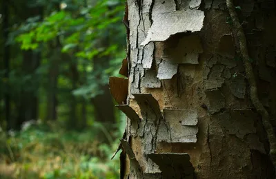 哭了，现实比魔幻更魔幻